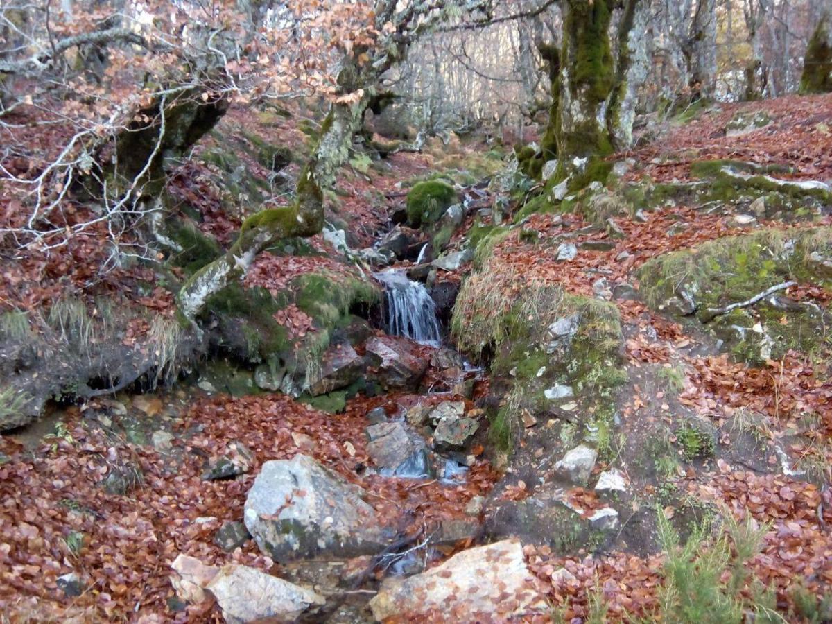 Casa Adriego Διαμέρισμα Riaza Εξωτερικό φωτογραφία