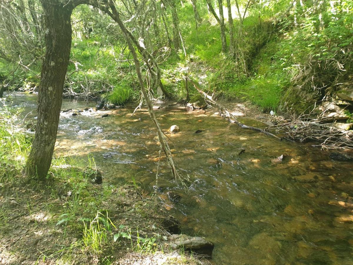 Casa Adriego Διαμέρισμα Riaza Εξωτερικό φωτογραφία